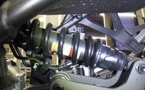 KAWASAKI ZX-4R SE 2025 ZX400P