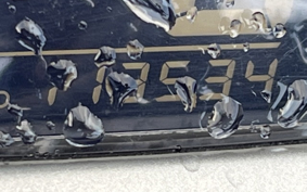 OTHER  MAJESTY 155S-2