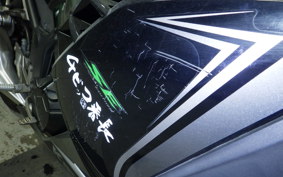 KAWASAKI NINJA 250 EX250L