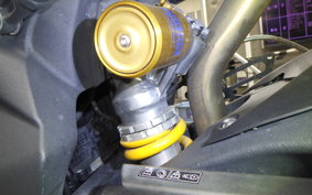 TRIUMPH DAYTONA 675 2009