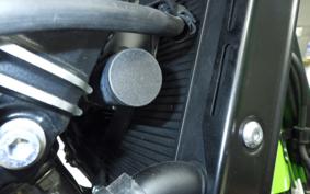 KAWASAKI Z900RS CAFE 2021 ZR900C