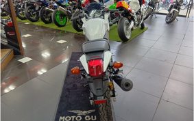 HONDA VTR 250 F MC33