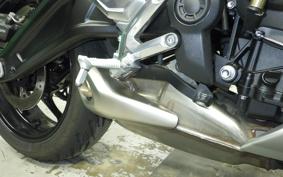 TRIUMPH TRIDENT 660 2024