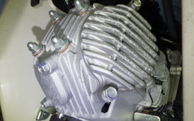 HONDA C50 SUPER CUB AA09