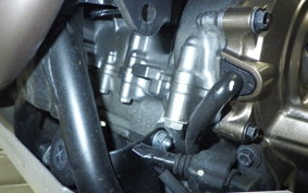 HONDA CRF1100L AFRICA TWIN DCT 2024 SD10