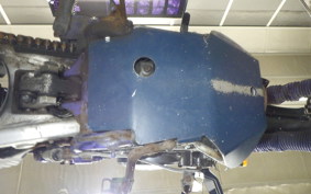 YAMAHA TT250R 2019 4GY