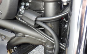 KAWASAKI VULCANS 2025 EN650M