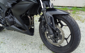 KAWASAKI Z250 ER250C