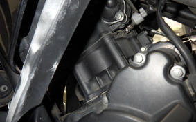 HONDA CBR250R GEN 3 2013 MC41