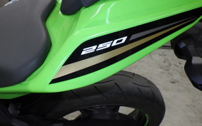KAWASAKI NINJA 250 2002 EX250P