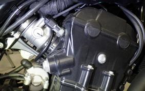 HUSQVARNA スバルトピレン801 2025