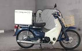 HONDA SUPER CUB50 AA01