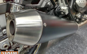 TRIUMPH ストリートカップ 2017 DAD77G