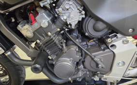 HONDA HORNET 250 MC31