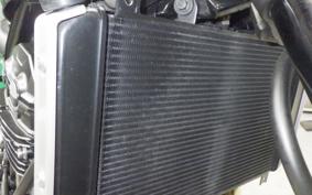 KAWASAKI Z900RS 2024 ZR900K