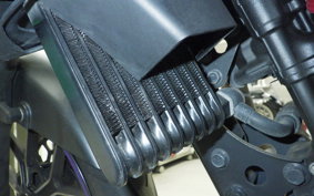 SUZUKI ｼﾞｸｻｰ250 2009 ED22Y