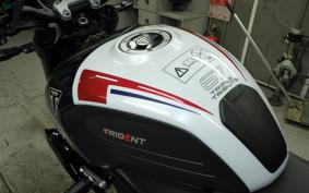 TRIUMPH TRIDENT 660 2024