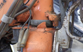 HONDA NOVIO 2025 PM50