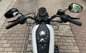 HARLEY XL883N 2018 LE2