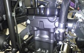 HONDA REBEL 250 S 2013 MC49