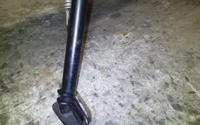 TRIUMPH TRIDENT 660 2021