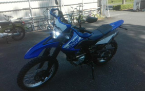 YAMAHA WR155R DG37