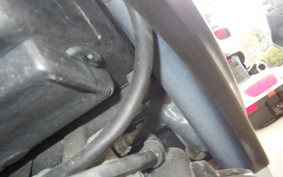 HONDA DIO ZX GEN 2 AF35