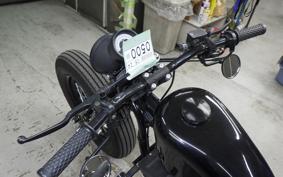OTHER THUNDER 250 2024