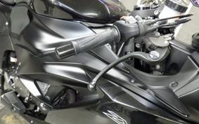 KAWASAKI NINJA ZX-6R A 2019 ZX636G