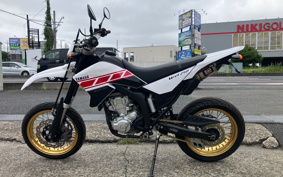 YAMAHA WR250X DG15J