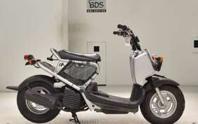 HONDA ZOOMER 2006 AF58
