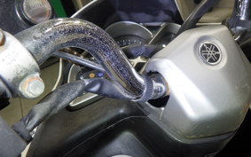 YAMAHA MAJESTY155 S 2021 SG28J