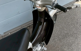 HONDA LITTLE CUB C50
