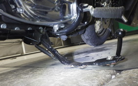 OTHER +HD. XL1200C-I 2018