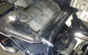 OTHER +UNREGISTERED MODEL by BDS180 TRIKE