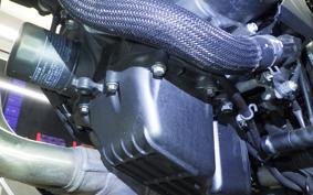 HONDA NX400 2024 NC65