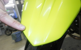 KAWASAKI KLX230 SM 2010 LX232A
