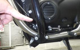 TRIUMPH BONNEVILLE T100 2025