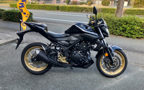 YAMAHA MT-25 RG43J