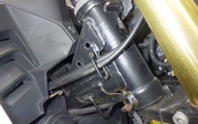 HONDA ｸﾞﾛﾑ 2023 JC61