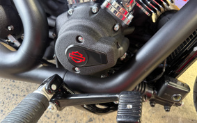 HARLEY FXLRS 2025 YWA