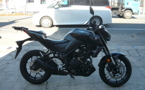 YAMAHA MT-25 ABS RG43J