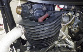 OTHER マットモーターサイクル250 2004