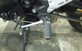 KAWASAKI Z900RS 2024 ZR900K