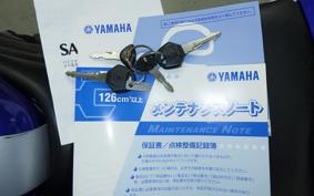 YAMAHA YZF-R25 RG10J
