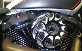 HARLEY FXDRS1870 2019
