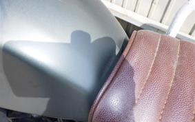 OTHER +ﾏｯﾄﾓｰﾀｰｻｲｸﾙ250