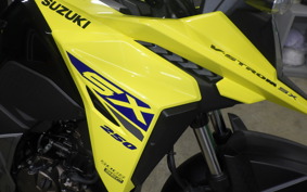 SUZUKI Vｽﾄﾛｰﾑ250SX 2022 EL11L