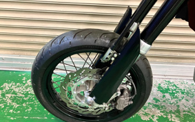 YAMAHA WR250X DG15J
