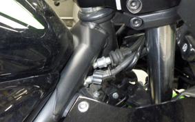 KAWASAKI NINJA 250 SL 2020 BX250A
